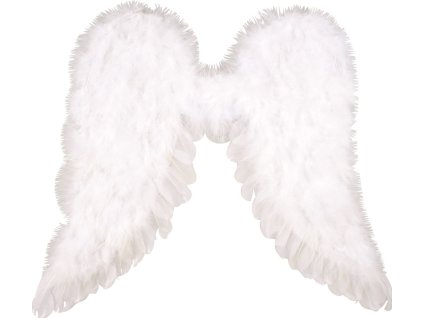 Andělská křídla 45x39 cm