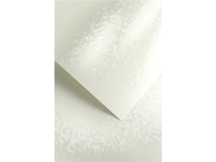 910 524 24b6f64bc6bb45dd83eeb82d531a1d5b3