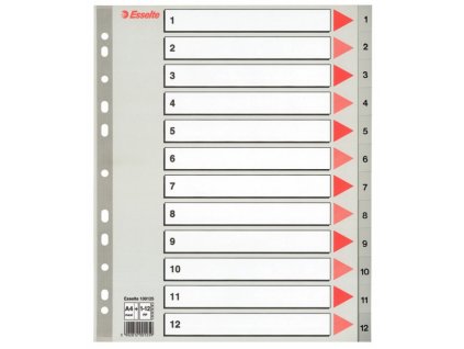 Rozlišovač Esselte maxi A4 1-12