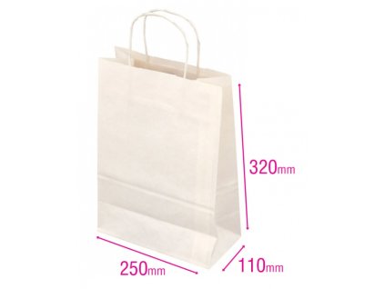 22254 1 taska papirova bila 250x110x320mm