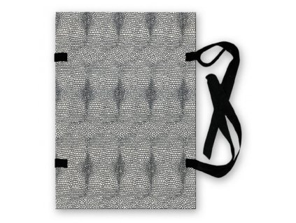 2388 spisove desky hit a4 vzor hadi kuze