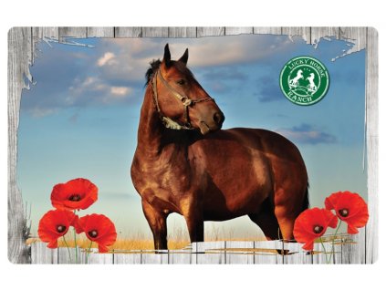 30057 1 podlozka na stul 67 x 44 cm lucky horse