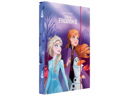 Box na sešity A4 Frozen
