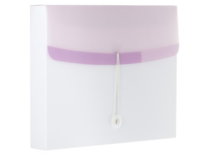 3774 box na spisy color dream a4 fialovy