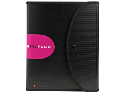 3807 portfolio exacompta vicedilne