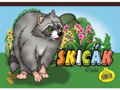 6843 1 skicak a4 10 listu