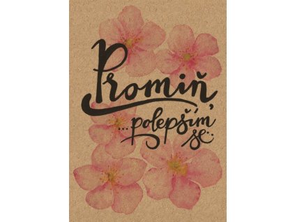85068 1 pranicko bebechy promin