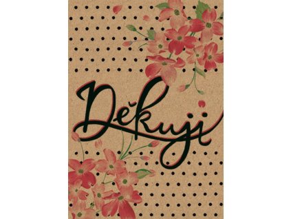 85074 1 pranicko bebechy dekuji2