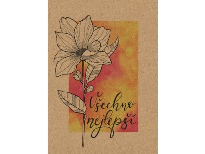 85206 1 pranicko bebechy vsechno 2