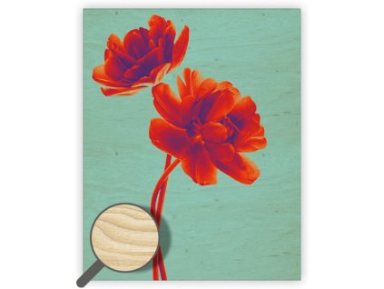 Dřevěný obraz Tulip