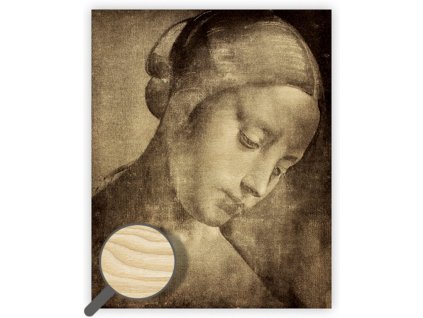 Dřevěný obraz Da Vinci