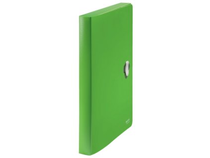 93066 ekologicky box na spisy leitz recycle a4 pp zeleny
