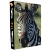Box na sešity A4 Jumbo Zebra