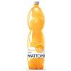 11538 1 mattoni pomerac 6x1 5l