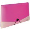 Organizér na dokumenty Opaline s gumou A4 čirá-růžová