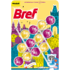 BREF43
