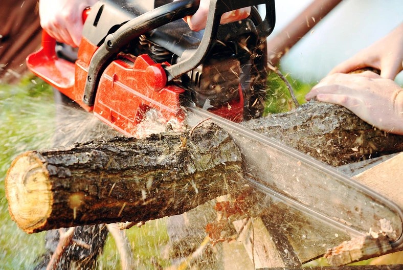 Jak správně používat (řezat) motorovou pilou