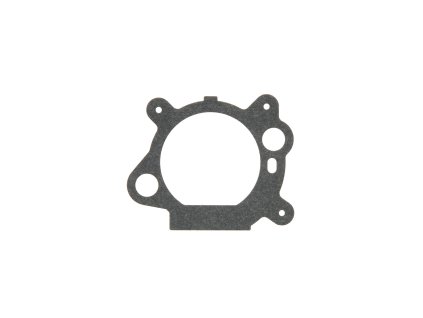 Těsnění karburátoru / filtr Briggs & Stratton Quantum  nahrazuje 272653, 795629