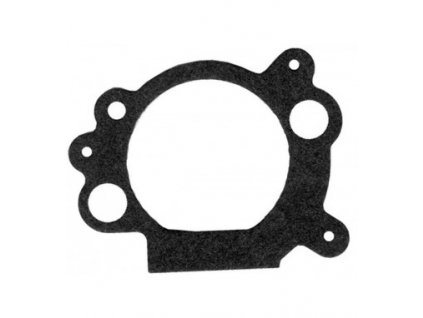 Těsnění Briggs Stratton Intek OHV (692667)
