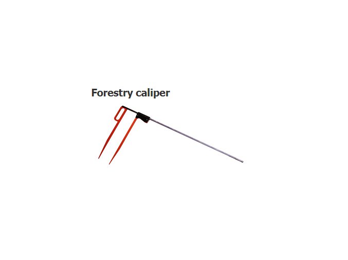 Forestry caliper