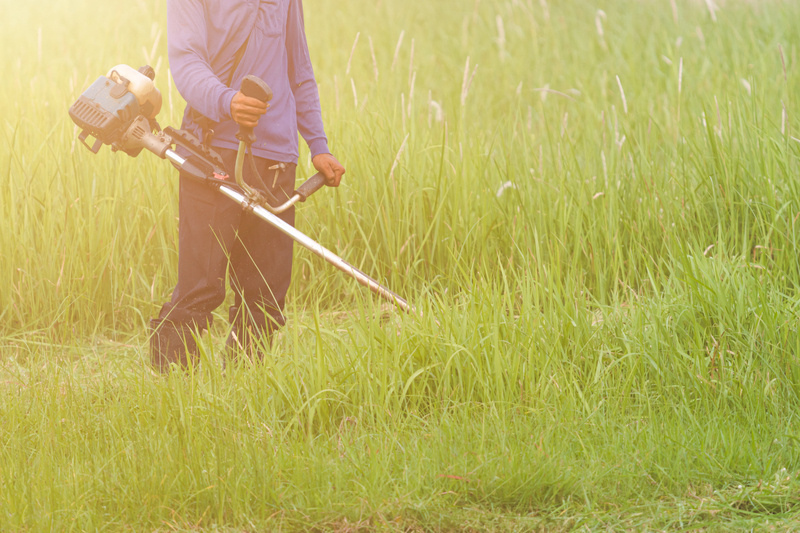 Kako odabrati pravu strunu (flaks) za vašu motornu kosu