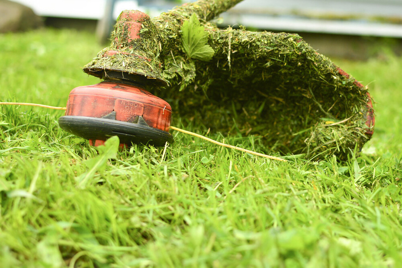 Kako namotati strunu na motornu kosu