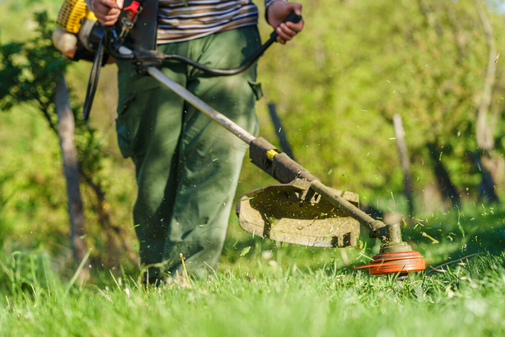 Kako odabrati glavu sa žicom za šikare i trimere
