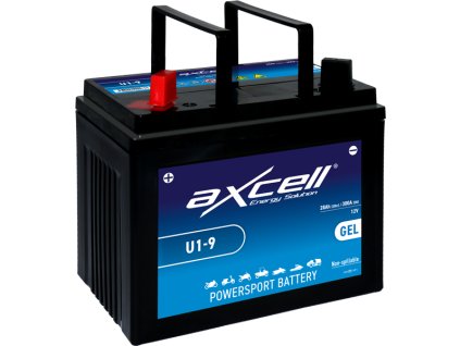 Baterija (akumulator) za vrtni traktor, kosilicu 24Ah / 12V-AGM (197 x 130 x 159 mm) L + (CCA 280A)