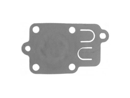 Briggs Stratton membrana 5PS I / C (270026)
