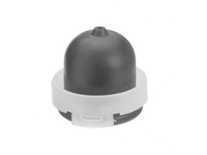 Pumpica goriva Briggs & Stratton Quantum