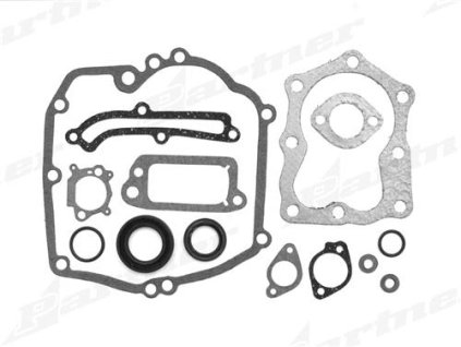 Garnitura brtvila (set dihtunga) Briggs Stratton Quantum (496117, 493263)