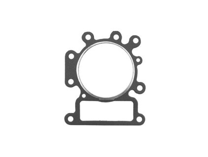 Brtva Briggs & Stratton, model 31 OHV zamjenjuje original 699168, 796584