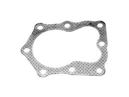 Brtva cilindra Briggs & Stratton Quantum (272200)