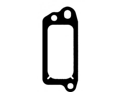 Brtva ventila Briggs Stratton Quantum (272481)