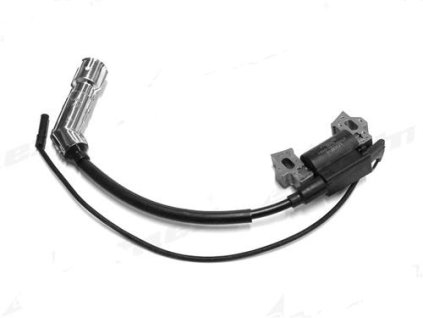 Elektronik (bobina) Loncin G200F original LC270920180-0001