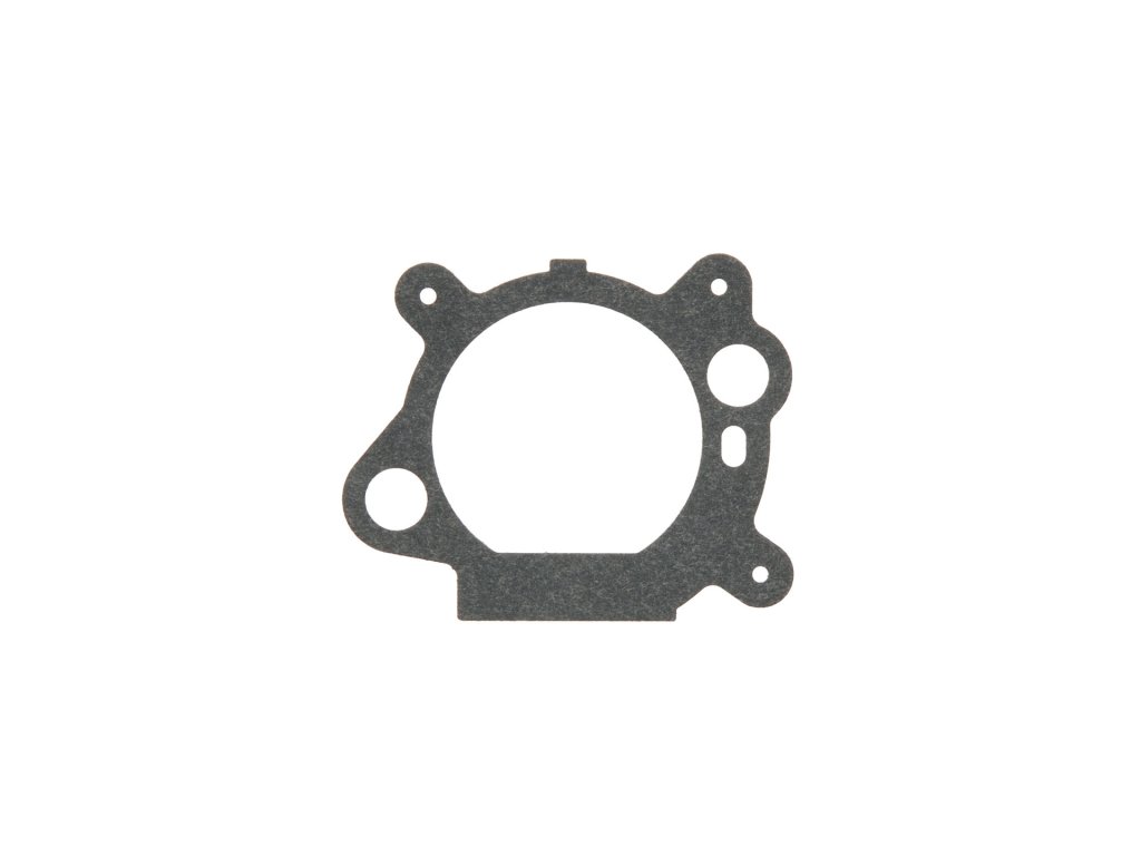 Tesnenie karburátora / filter Briggs & Stratton Quantum nahrádza 272653, 795629