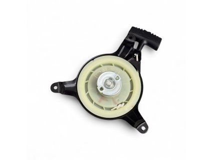 8967 starter set mtd thorx 751 10299