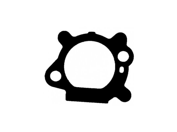 Tesnenie karburátora / filter Briggs & Stratton Quantum nahrádza 272653, 795629