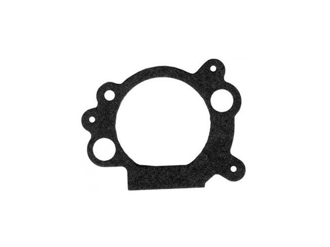 Tesnenie Briggs Stratton Intek OHV (692667)