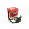 Zapaľovacia cievka Briggs & Stratton Seria 600/Quantum (ORIGINAL) (796964/695711/590455)