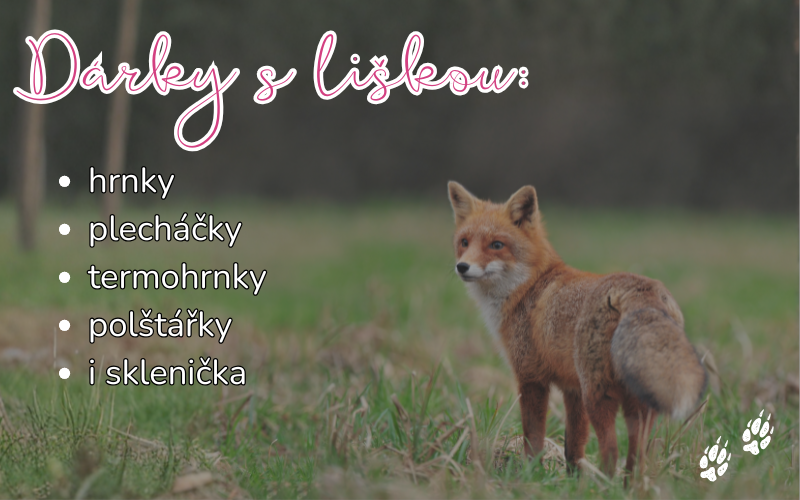 🦊 Dárky s liškou: hrnek, plecháček, polštář i další originální motivy