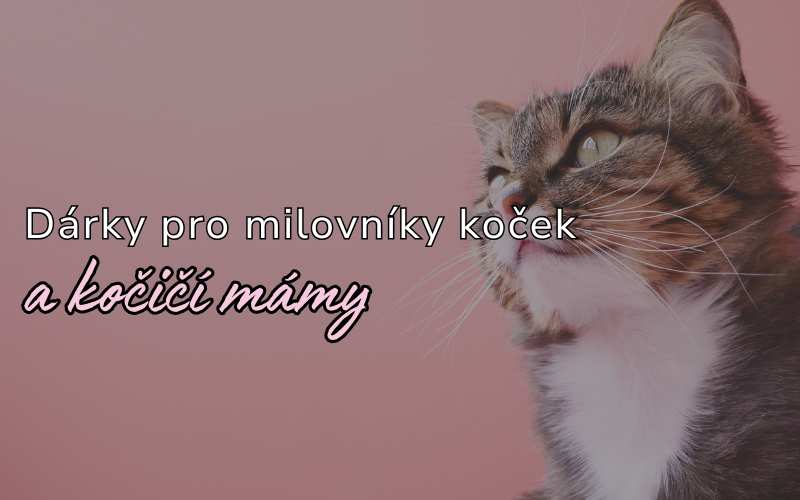 Dárky pro milovníky koček
