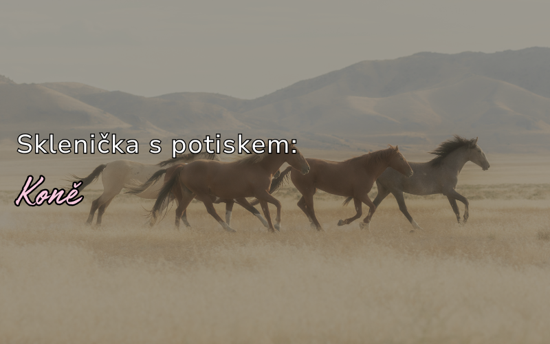 Sklenička s motivem koní – Pro všechny, kdo milují jezdectví