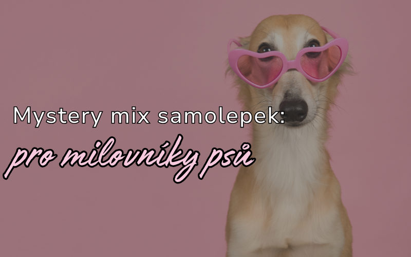 Samolepky psi – originální dárek pro milovníky čtyřnohých přátel