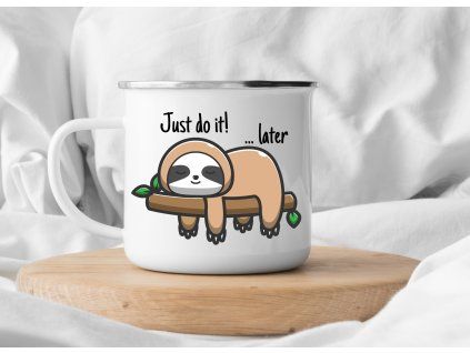 plechacek just do it later s lenochodem