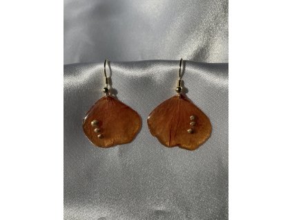 Náušnice z epoxidu zlatá chirurgická ocel