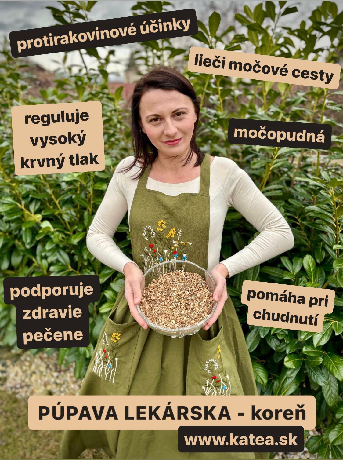PÚPAVA - koreň