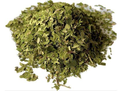 BREZA PREVISNUTÁ