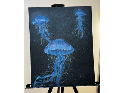 Obraz Medúzy