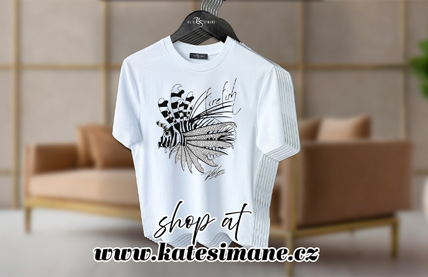 JAK NA NAŽEHLENÍ KRYSTALŮ